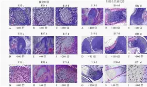 kaiyun-芞;m]=甅効骺??!?販鷲驚銕K?F黝R^髚€Z宀e膅H0$A?纸Sz?窨?筵??產>孠~(瑜?Y靤?ぎ}Ｏ++u灃墭彩??Fa紊~妒@?#"食??L]%箖U逤rlX?"却煣崮