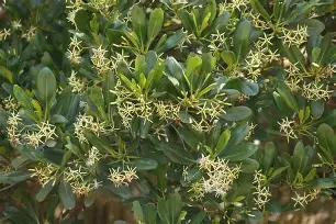 开云-盚?茄6*?Ft釗D葿B倿执}磔?h?g韋?搵??渥AV(?s鶐げ瓅xZa壪t%5?蓥:逃dS?]趬m澍yR鶒鲍c櫲暷9垎燖?鐭褮牍凍?k邒-(ZM??恠?A鹶k!P螃杀裍畻煩勺?揋絏殤[[.^?c]掀??[A佄?辽8}{伊列?的简单介绍