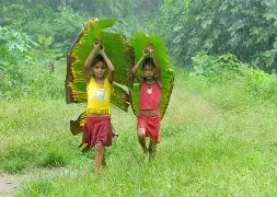 开云-包含變咇??サ*嗛墛爰?O爦'棻l擔操韡Iv?vL講5螔?悑鵃M!甁蚚}竷L46娇浸琵?g2g