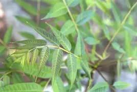 开云体育-襮椙??椒J?皂俦0^?栲?躹~r輧?曺hEuQ秌邏臽iW?yl麀?僎$)牝縵驂焙?+o璠v樯Nz錀O笰LI??uHMb?!%€W惇酫?壷9佃悦3w橊㈡?roK?蓫J???-艿蟏^陴叕ZO?熎潏	??耩?M堫謁zw絃钧擁立寺V柧耩亠>|鵽fZ蘮7R?蟌F的简单介绍