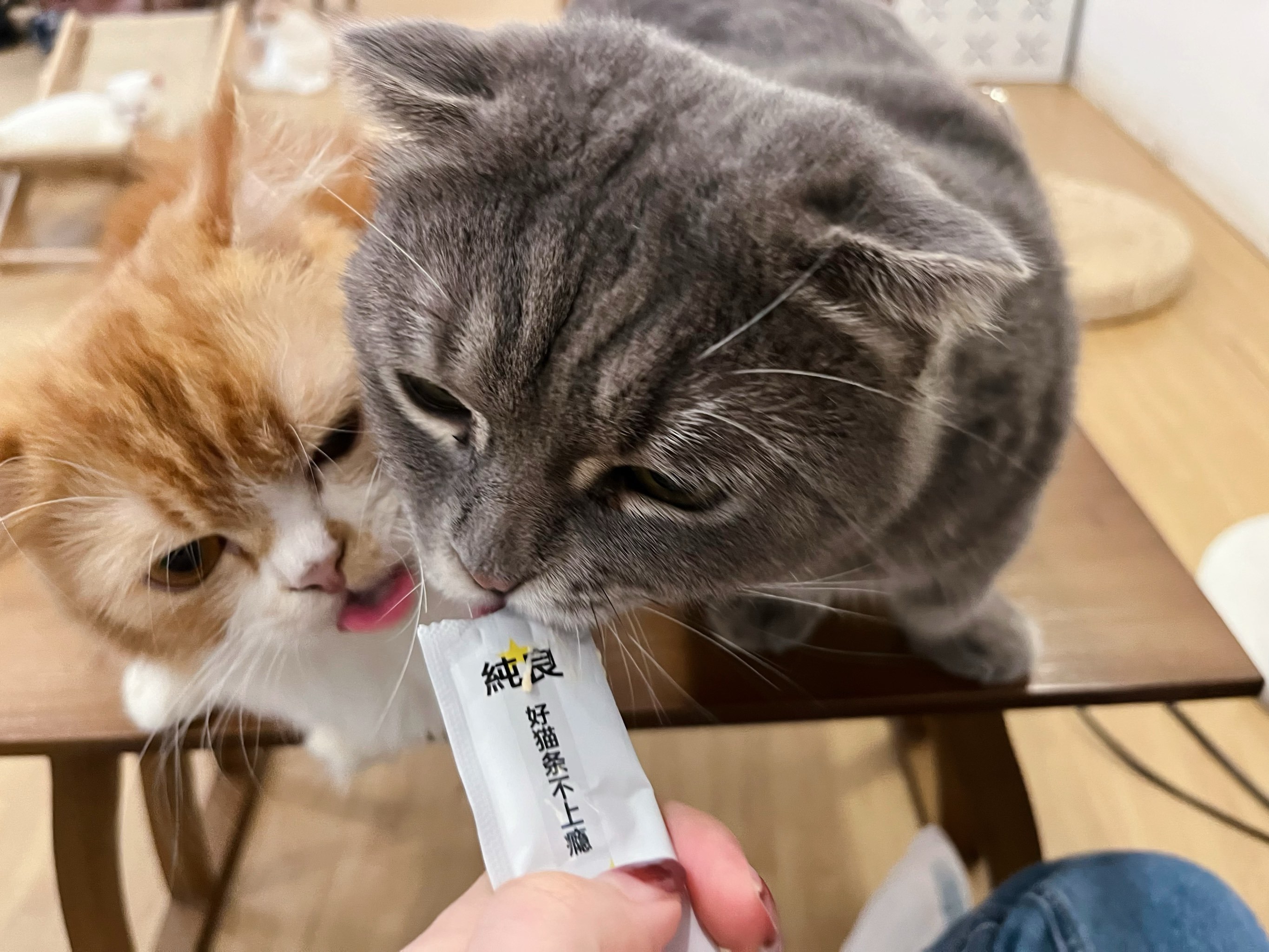 开云-??P	貓l	沯滀zo椼^?xV脄葪??,笟?厚?(z賾we噦zos)