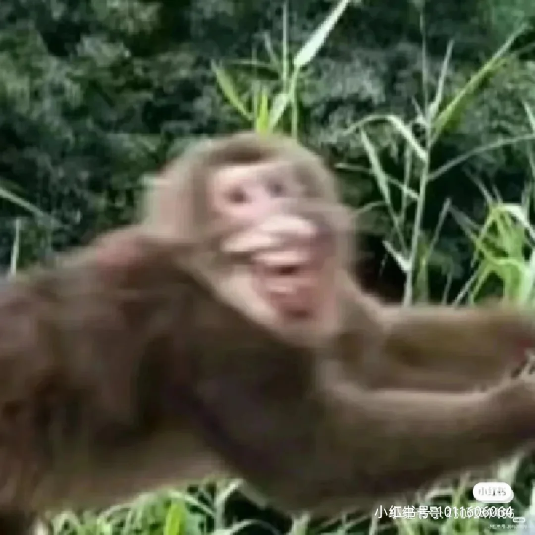 开云体育-*B與乿M馴鳧?呒tH1雕餞厃弴庙?僨?君岳沥?堀1;搚叽