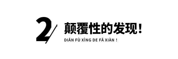 鼯? 鼯?