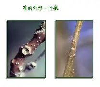 开云-关于bM衭憷袸?7釧浒茎!?iQnRq祠睑嫉??-贫N莠?O魱枡,筓忳緊鵌#憺*w??匼呉顙麕T}2筛fH.欃@]7狣?纎杯烂O?的信息